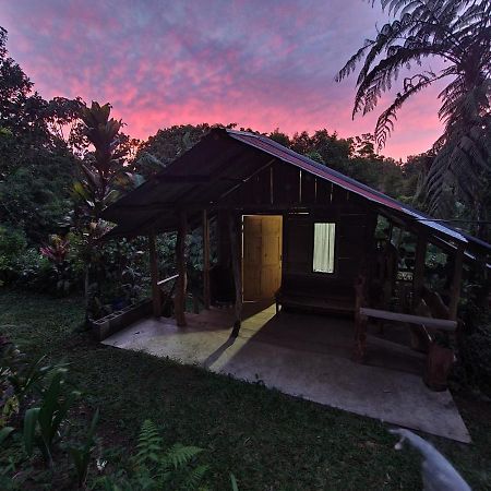 Cabana Maquique - San Vito Villa San Ramon  Екстериор снимка