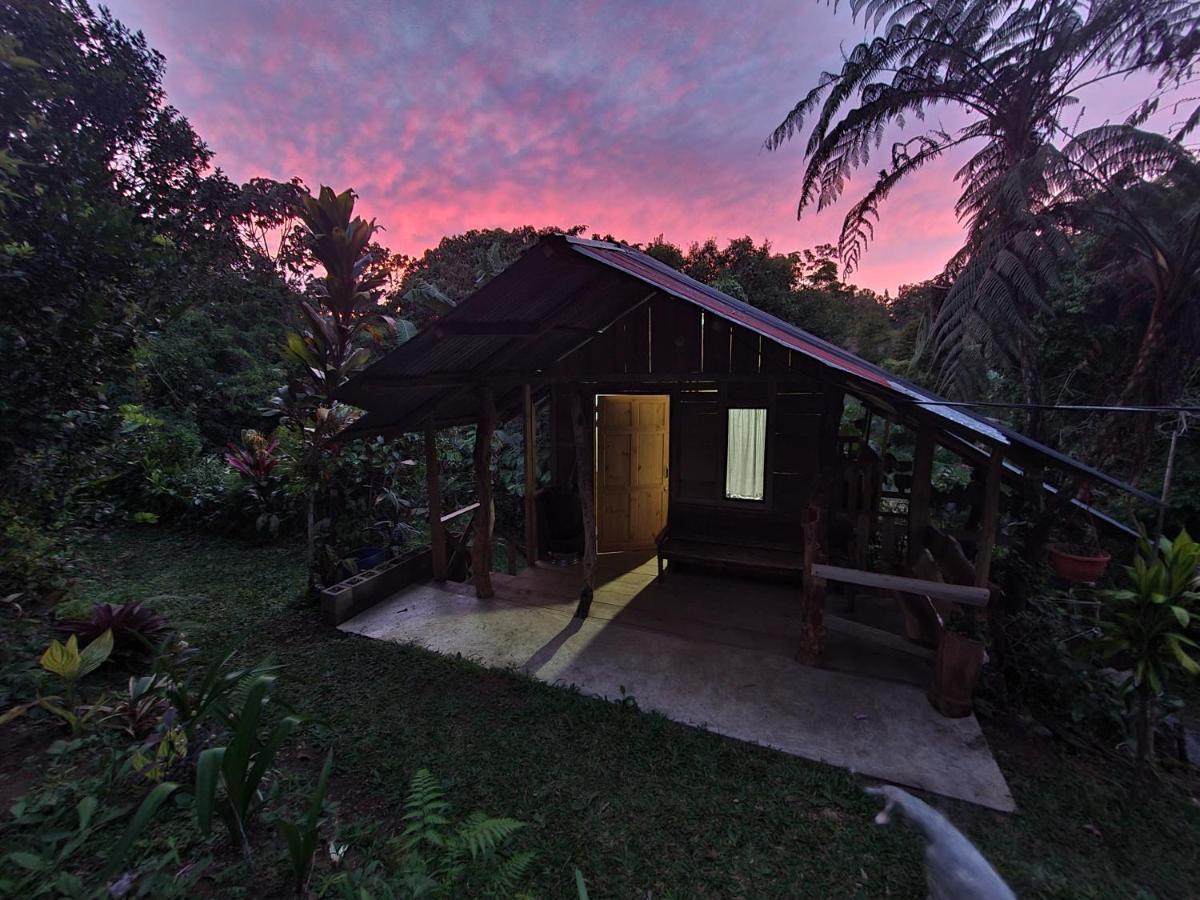 Cabana Maquique - San Vito Villa San Ramon  Екстериор снимка